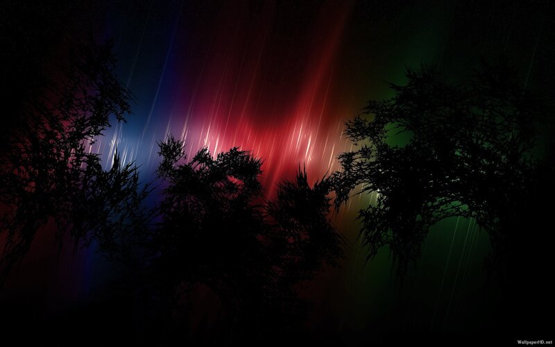Colorful aurora over silhouetted trees