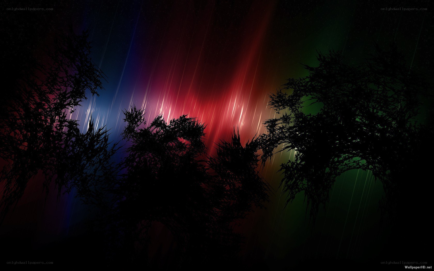 Colorful aurora over silhouetted trees