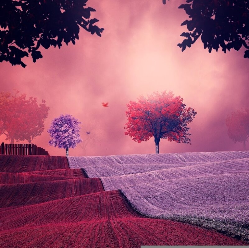 Colorful Autumn Fields