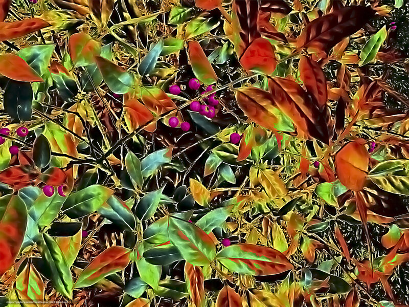 Colorful autumn foliage with berries
