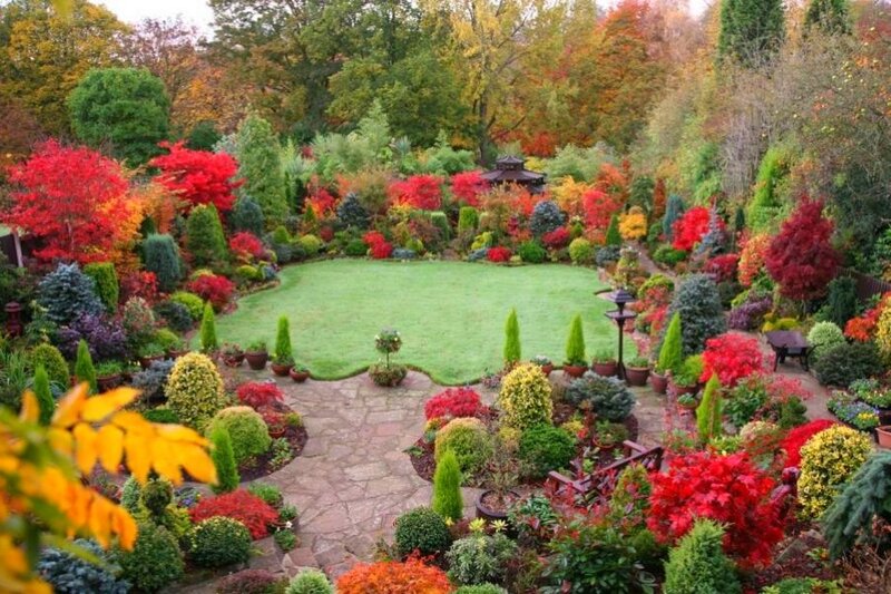 colorful autumn garden scene