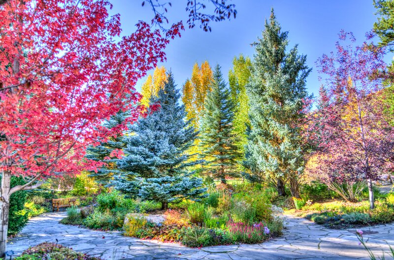 Colorful autumn garden scene