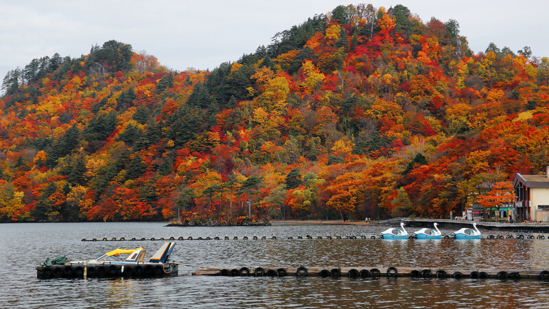 Colorful Autumn Hillside