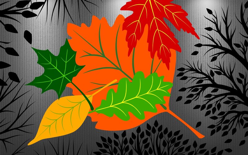 Colorful Autumn Leaves — Orange