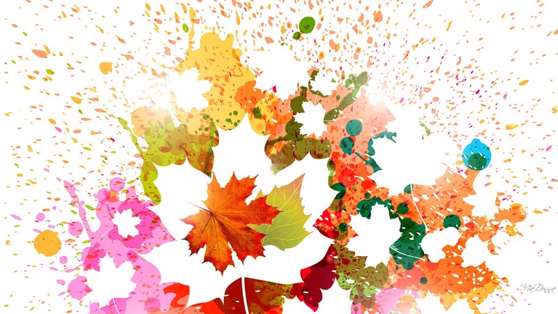 Colorful Autumn Leaves — Orange, Vibrant