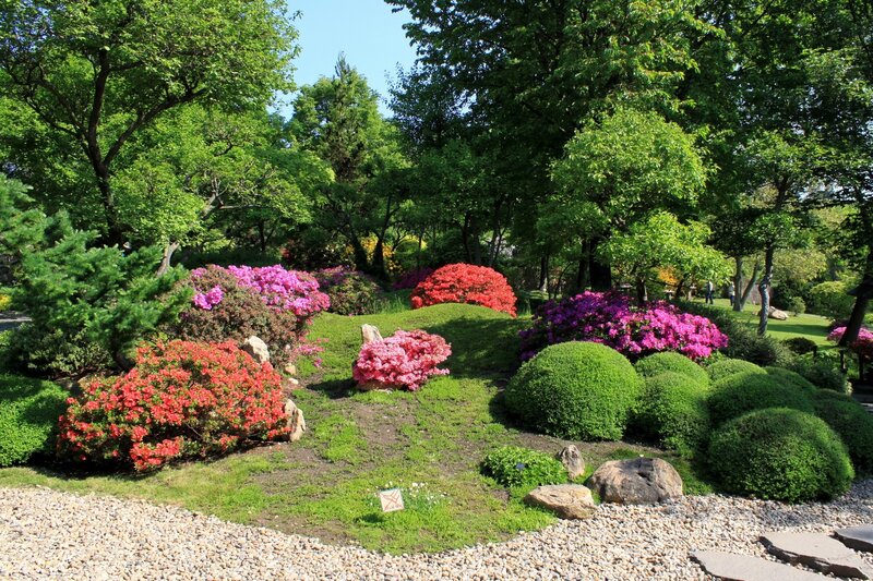 Colorful Azalea Garden — Green