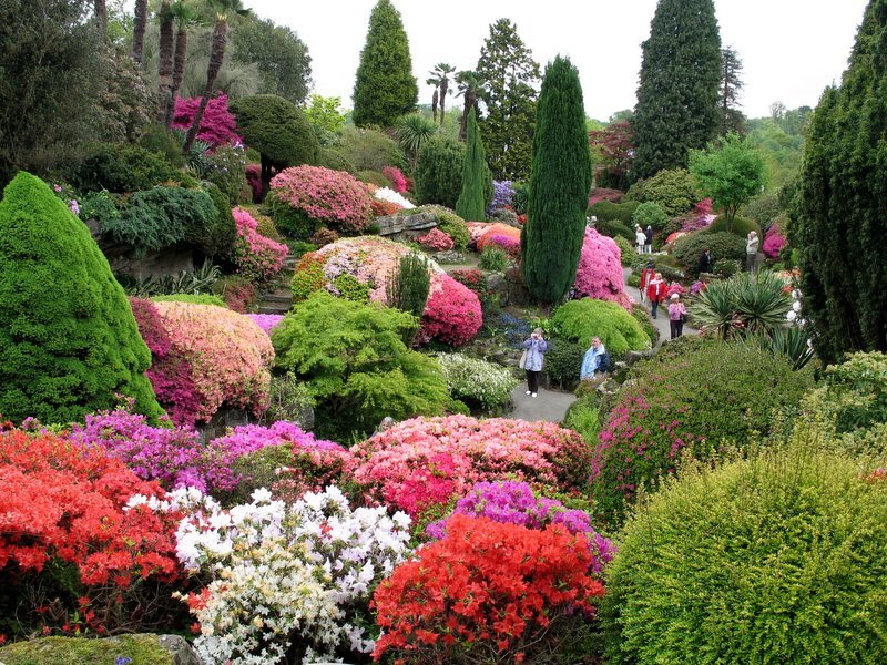 Colorful Azalea Garden