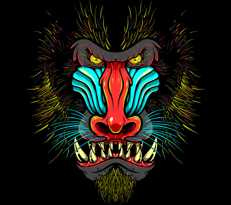 colorful baboon face illustration