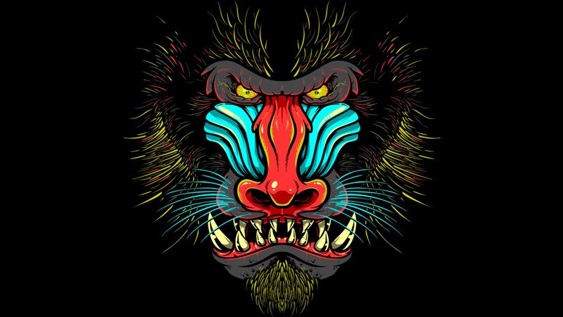 Colorful Baboon Face