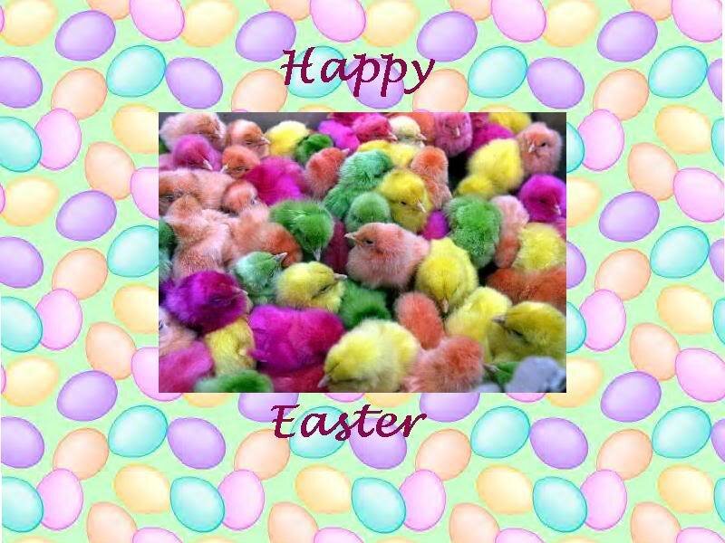 Colorful Baby Chicks — Green
