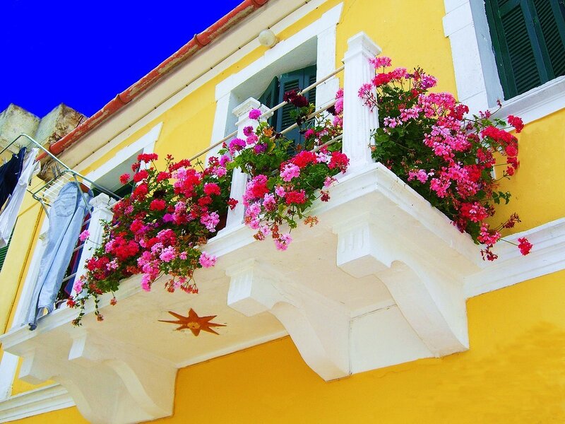 colorful balcony with flowers