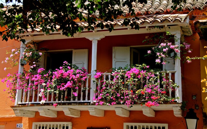Colorful Balcony with Flowers — Orange