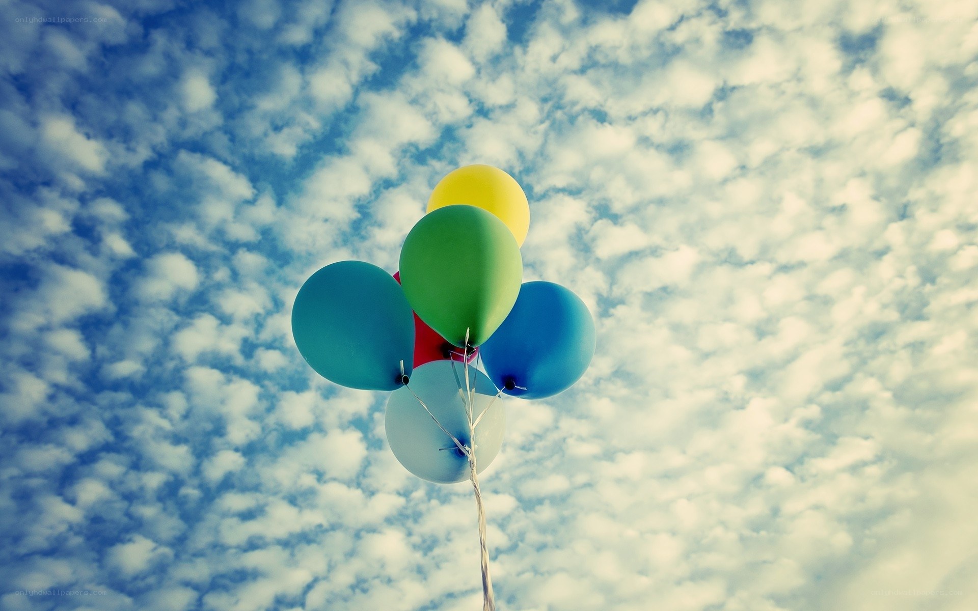 Colorful balloons against cloudy sky