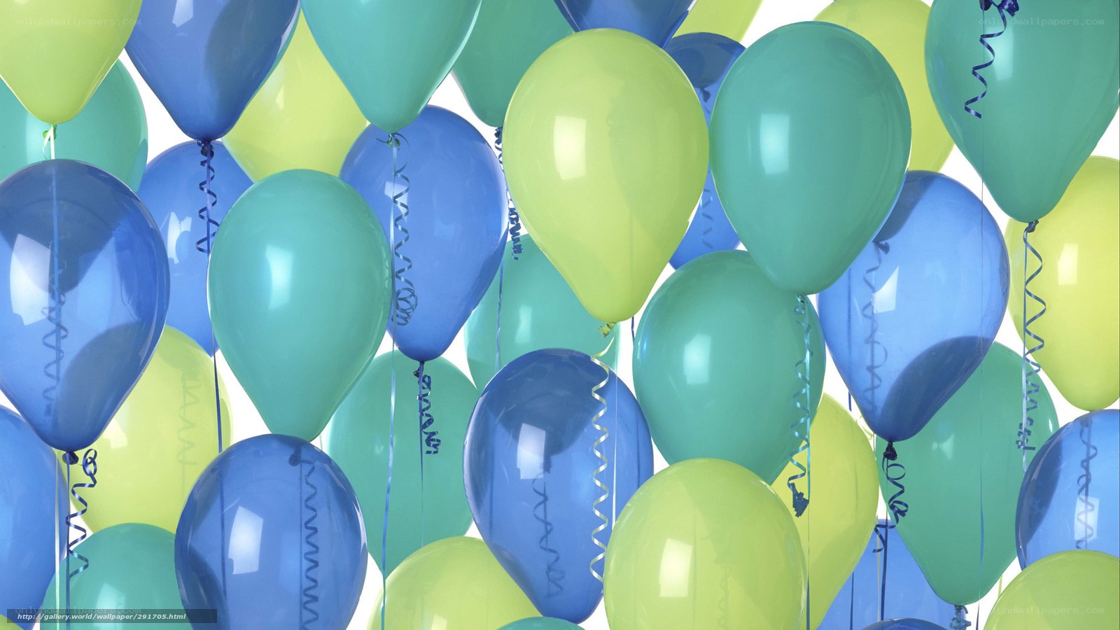 Colorful balloons at a celebration