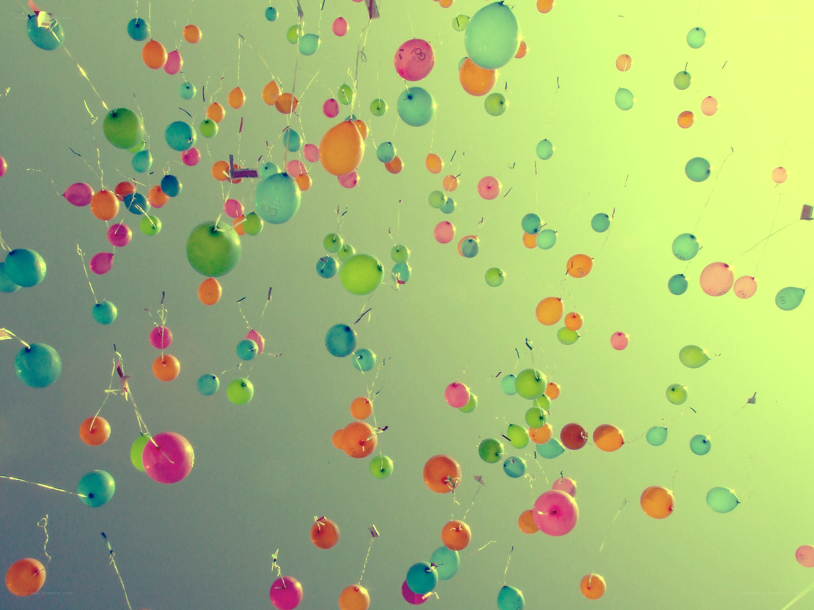 Colorful balloons floating in the sky