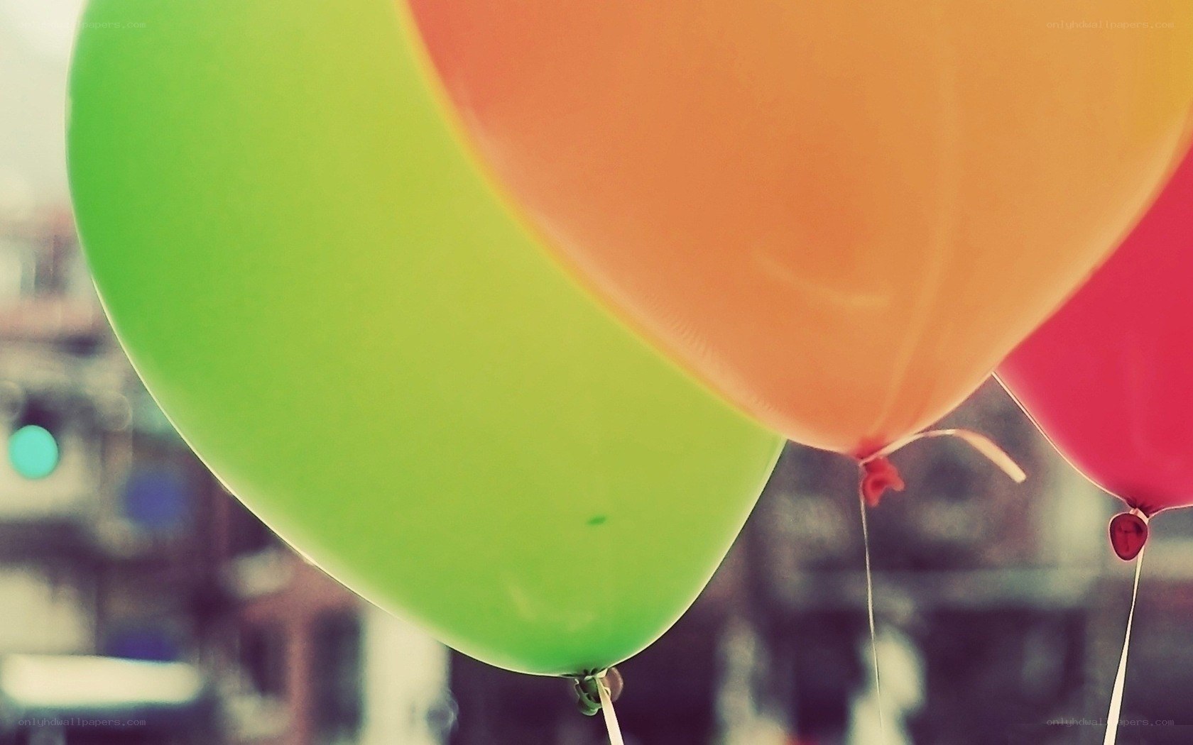 Colorful balloons in focus