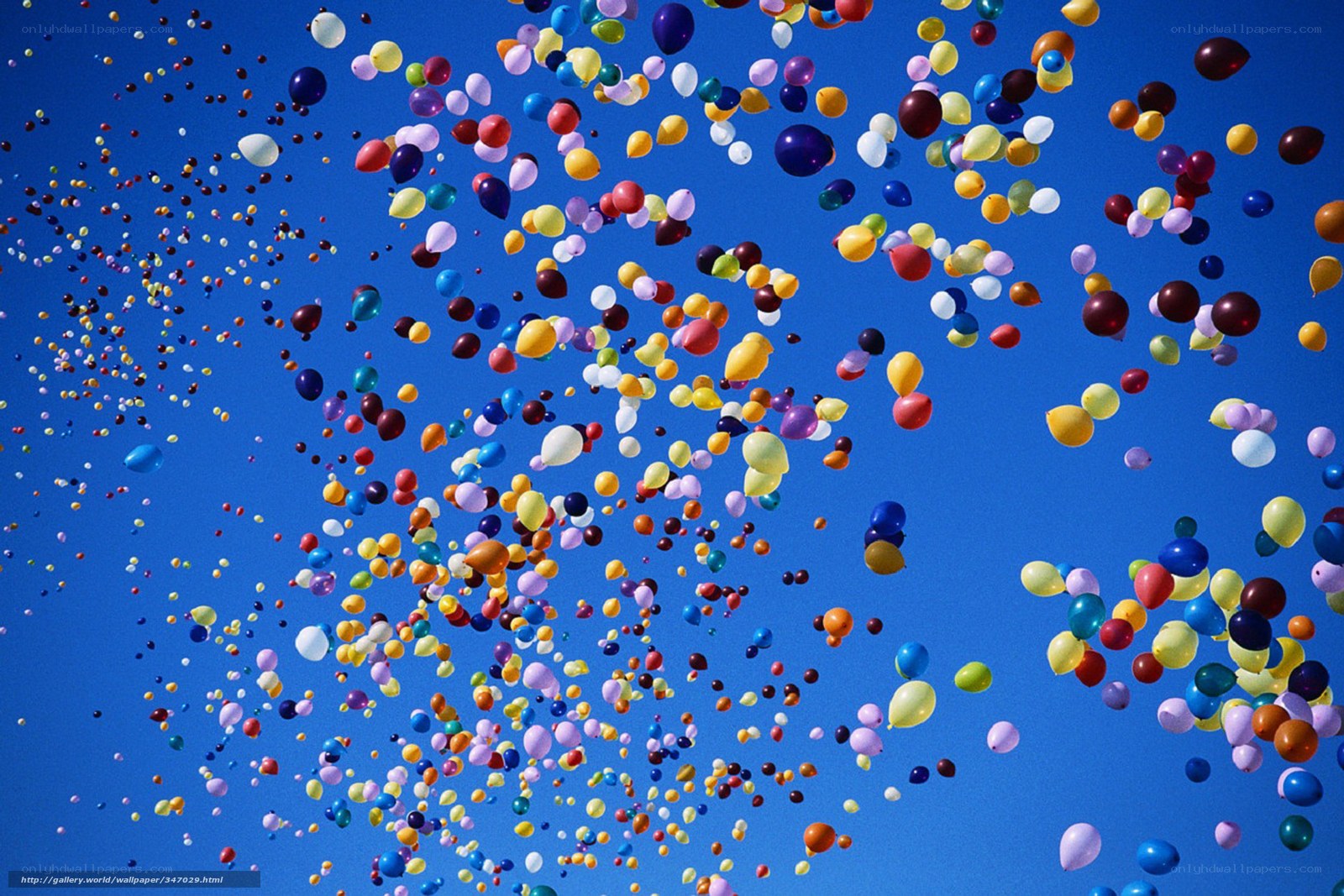 Colorful balloons in the sky