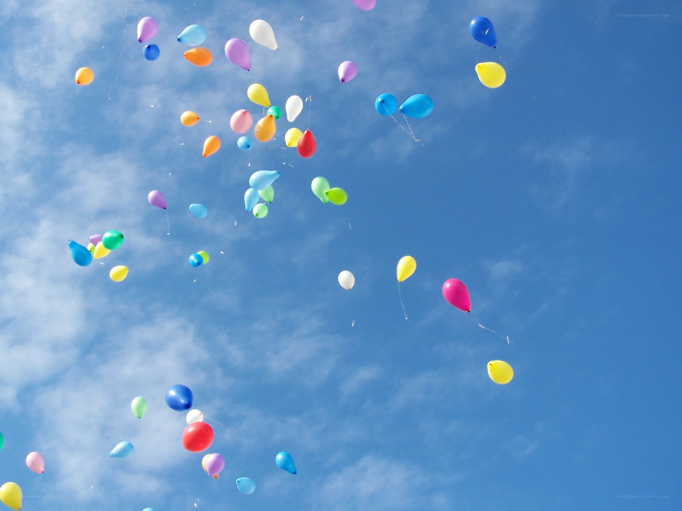 Colorful balloons in the sky