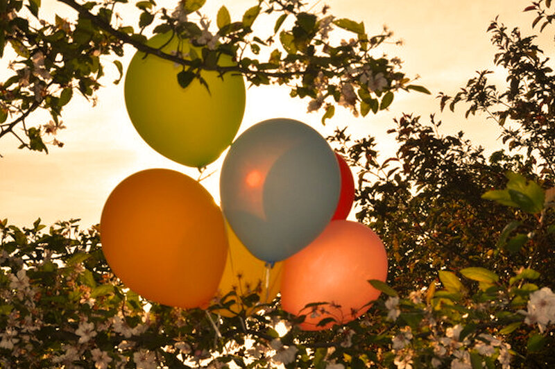Colorful Balloons in Tree
