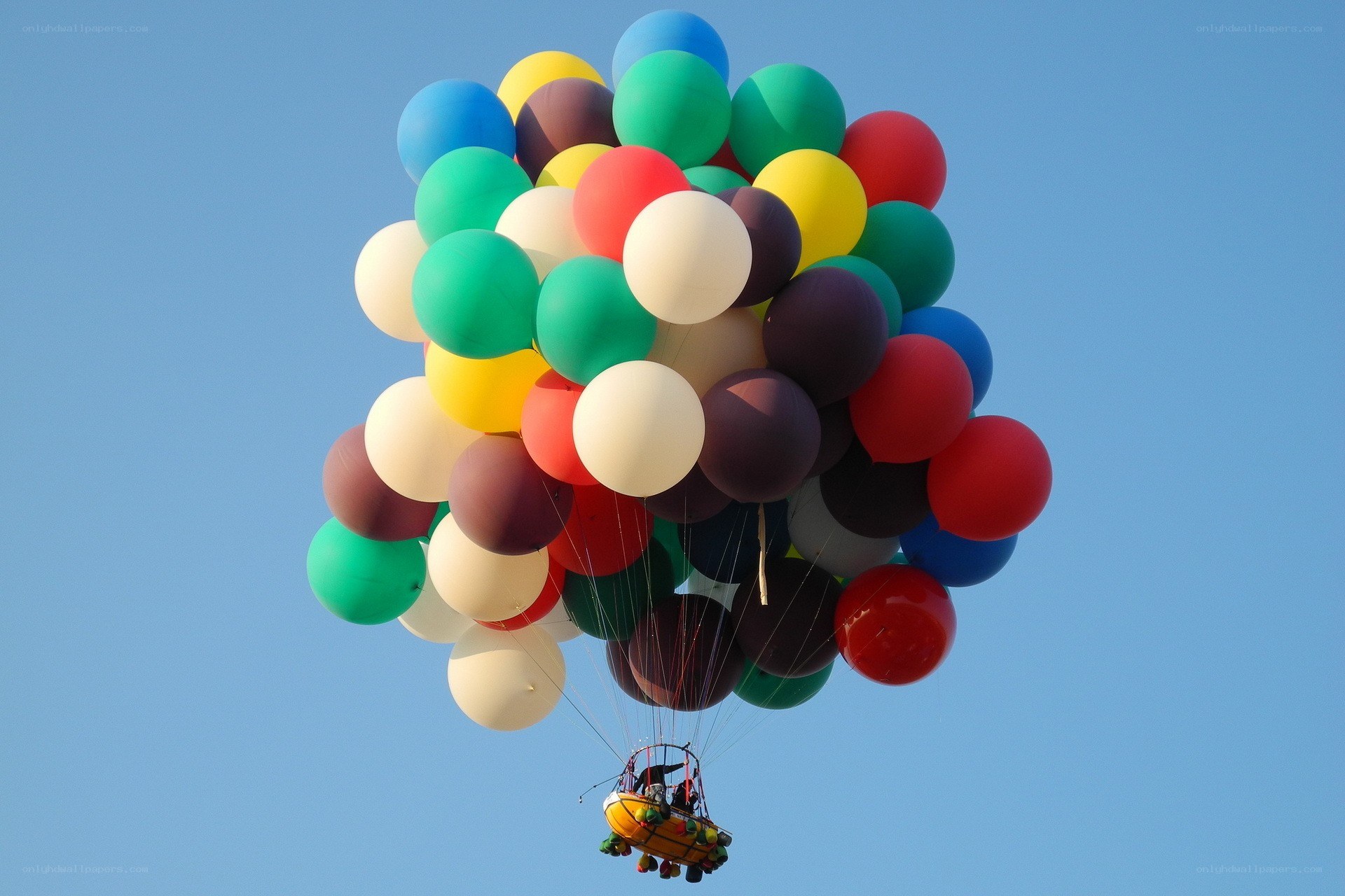 Colorful balloons lifting a basket