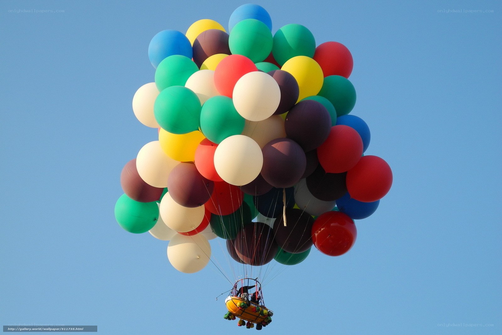 Colorful balloons lifting a basket