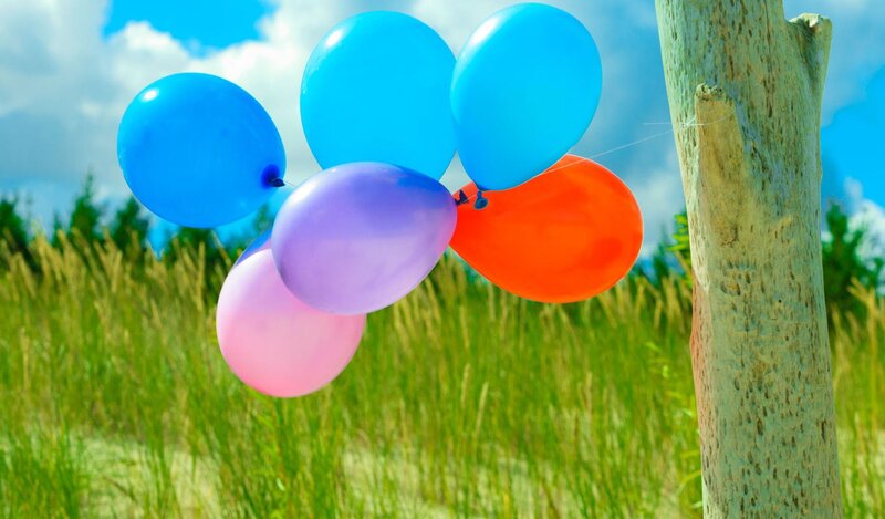 Colorful Balloons Tied to Tree