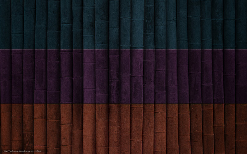 colorful bamboo texture