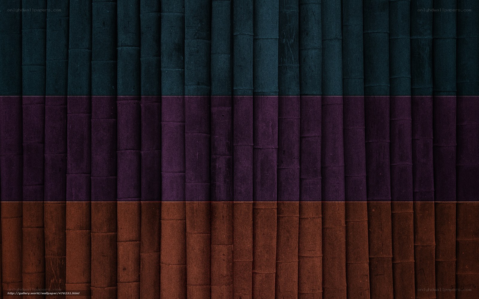 colorful bamboo texture