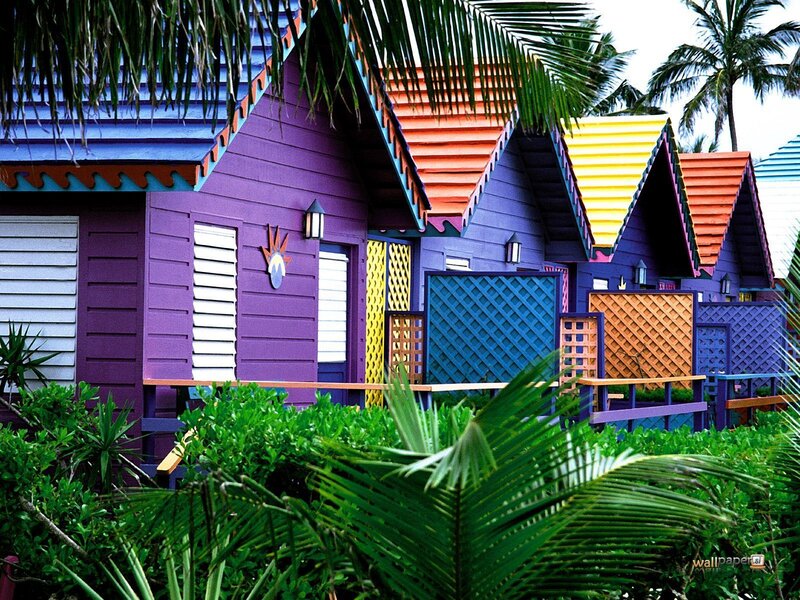 Colorful beach huts in tropical setting