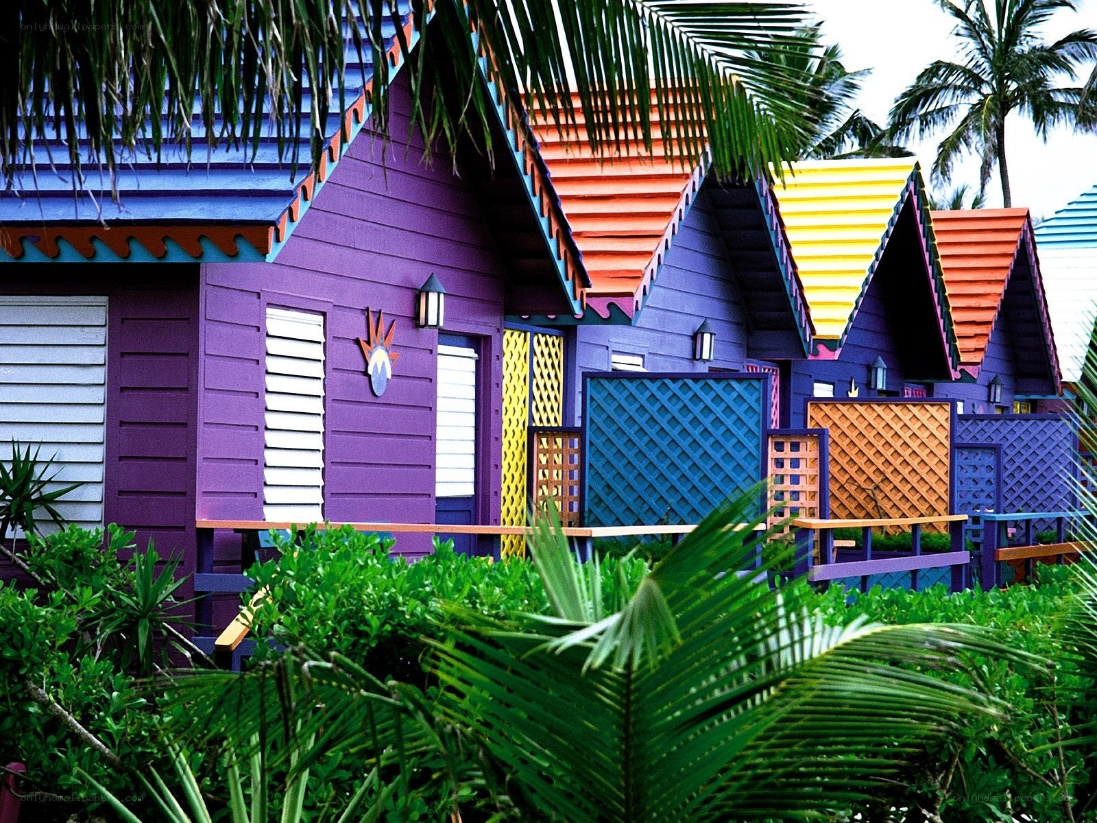 Colorful beach huts in tropical setting