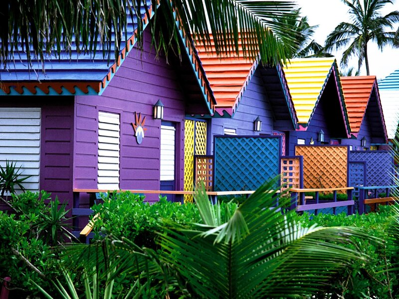 Colorful Beach Huts — Purple, Tropical, Afternoon, Photograph, Palm Trees