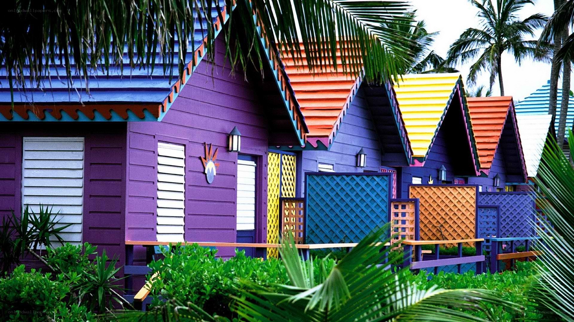 Colorful beach huts with palm trees