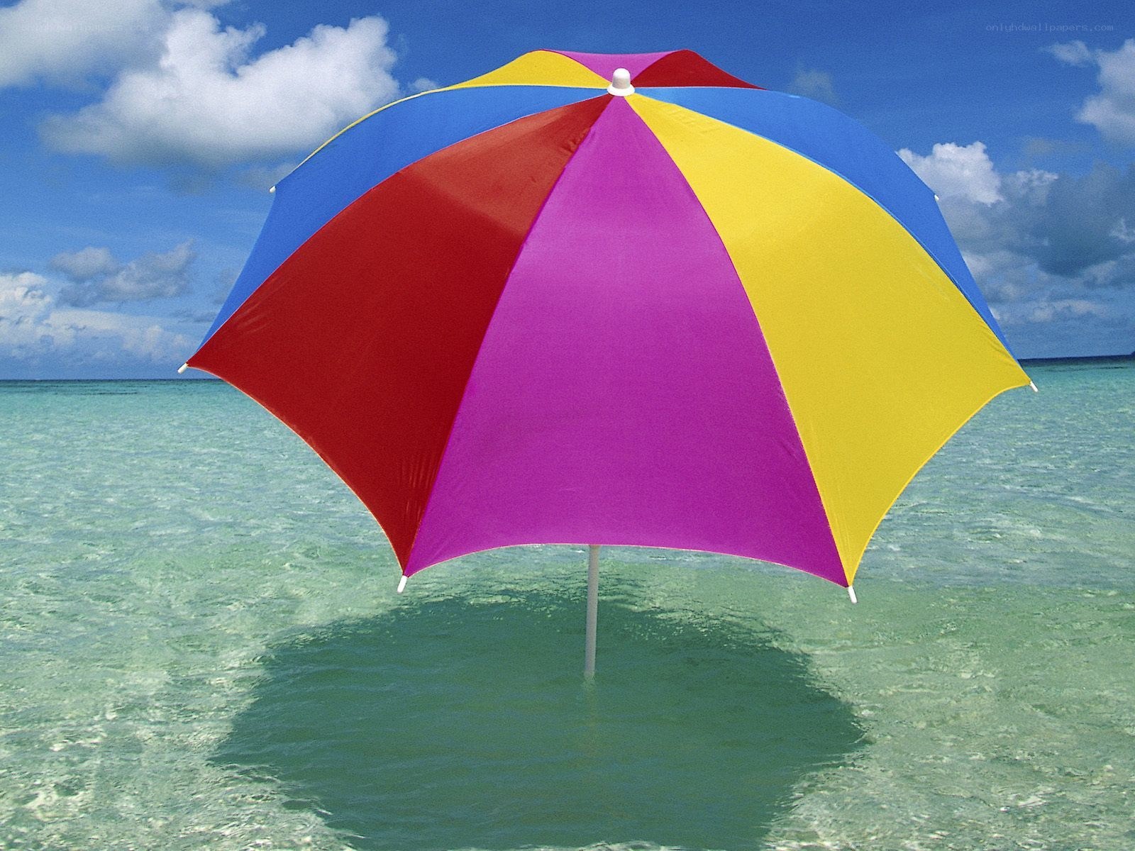 Colorful beach umbrella in water