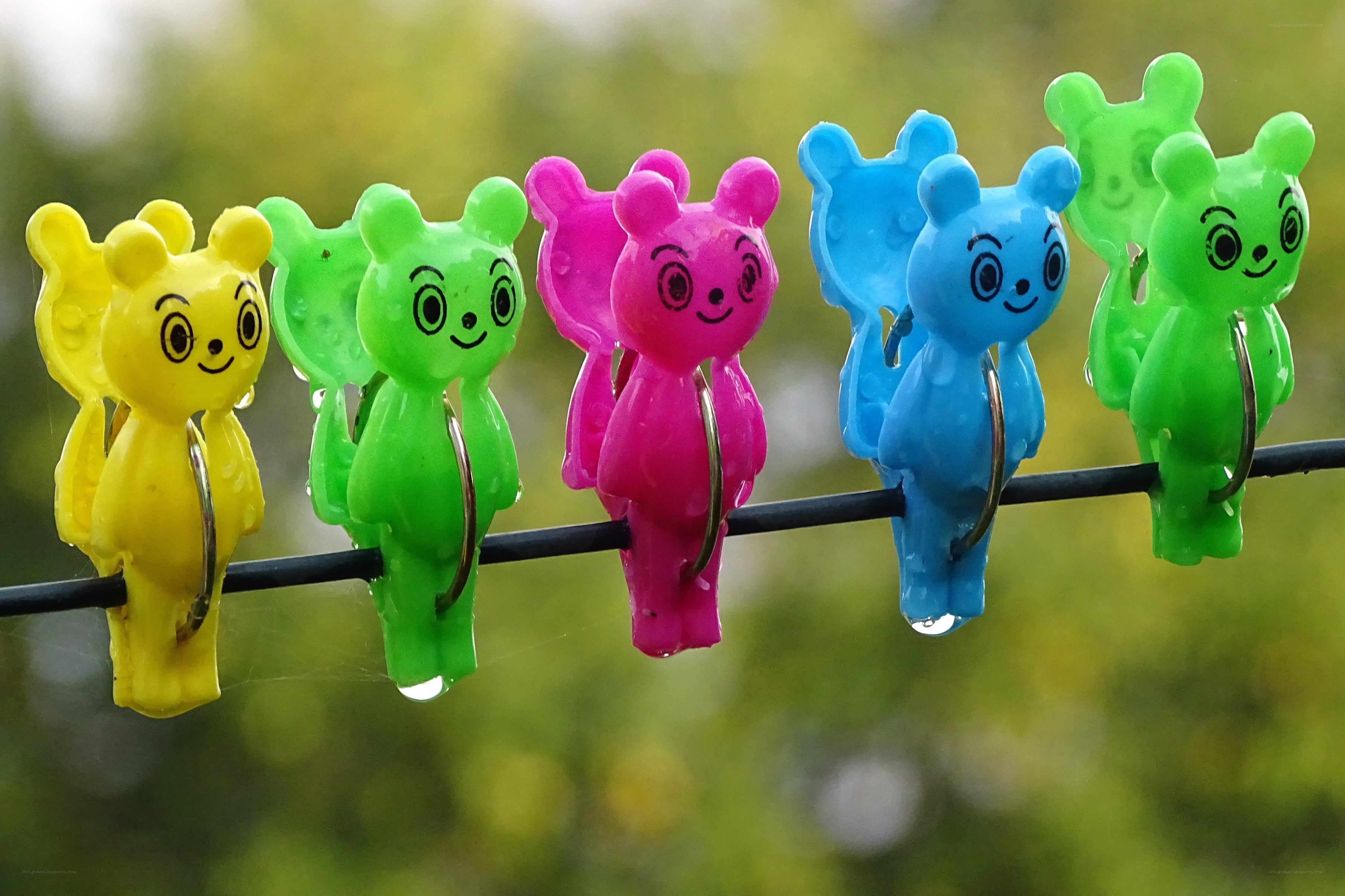 Colorful bear clothespins on a line