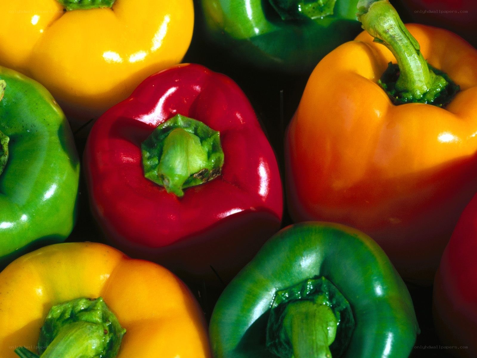 Colorful bell peppers