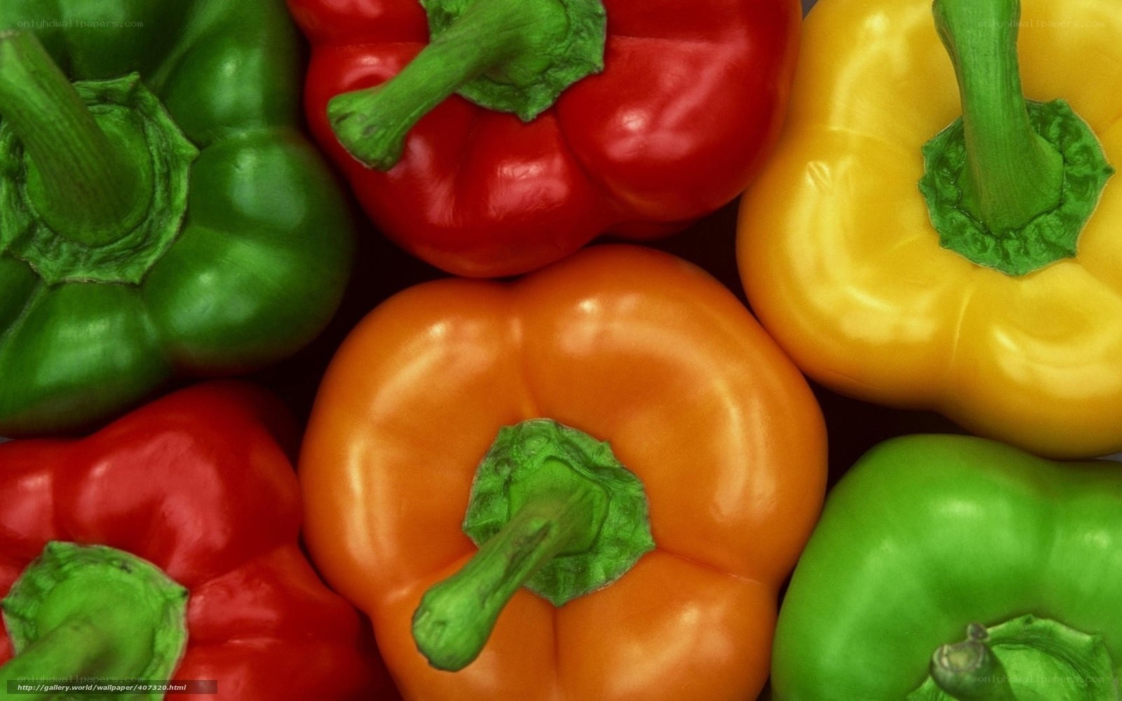 Colorful bell peppers close-up