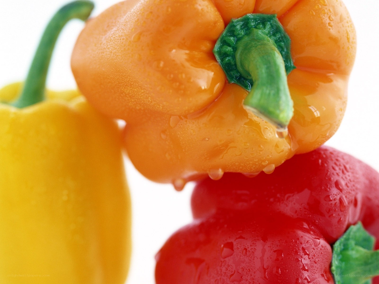 Colorful bell peppers with water droplets