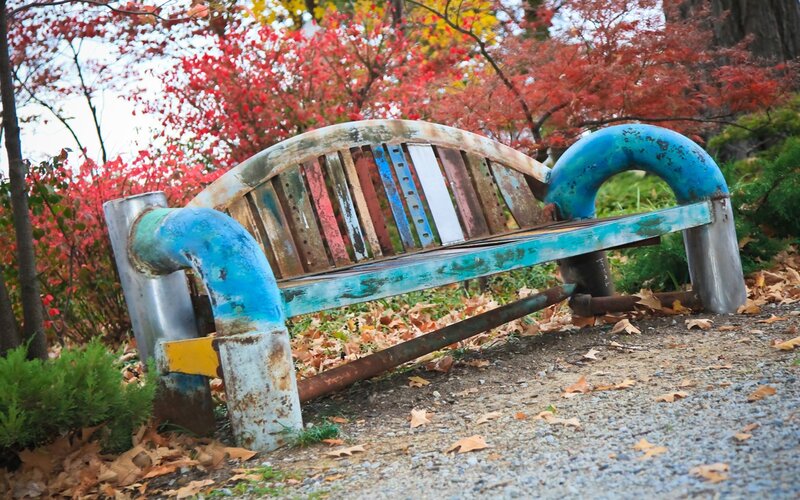 Colorful bench in autumn park