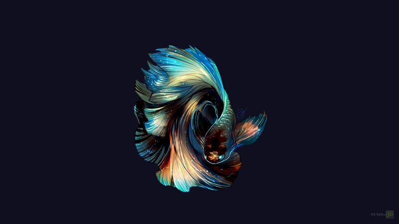 Colorful Betta Fish — Blue