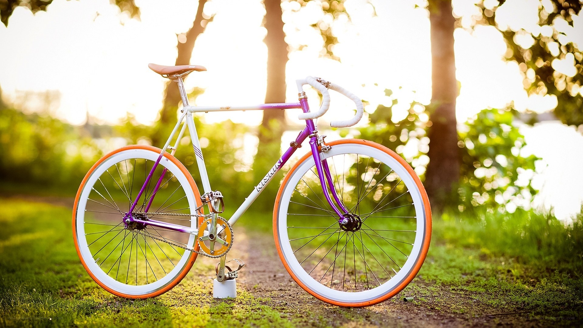 colorful bicycle in park