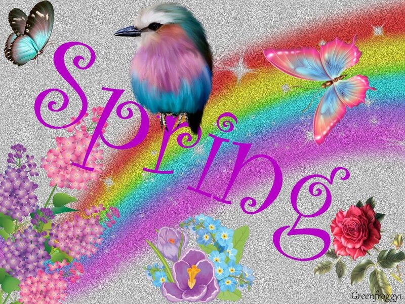 Colorful Bird and Butterflies