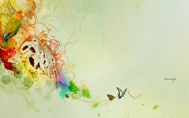 colorful bird and butterfly art