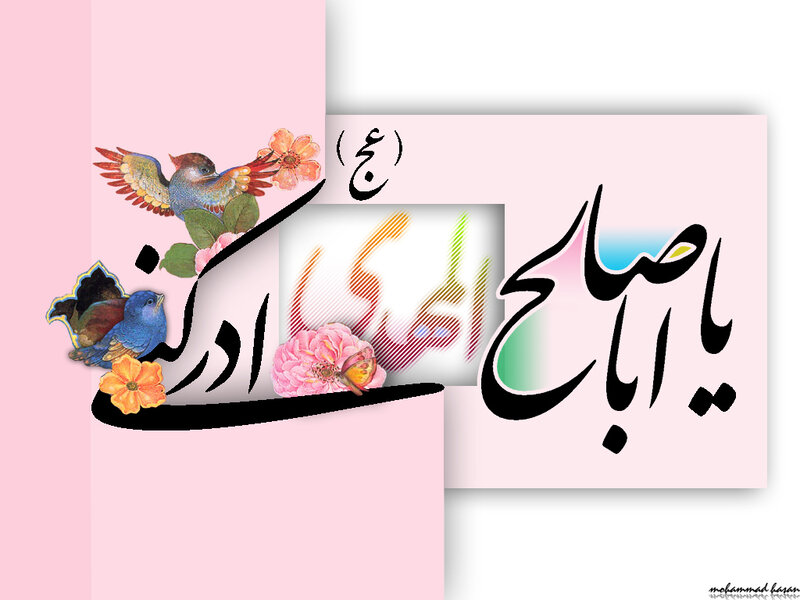 colorful bird and flower illustration