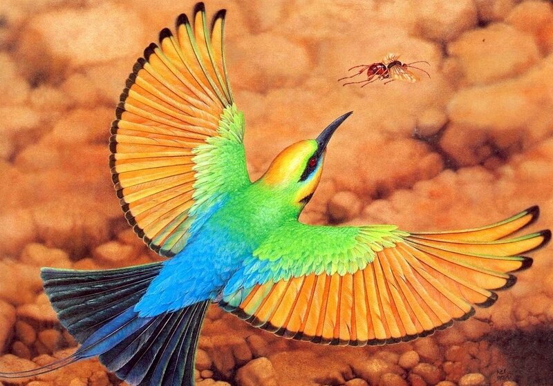 Colorful Bird Catching Insect — Green