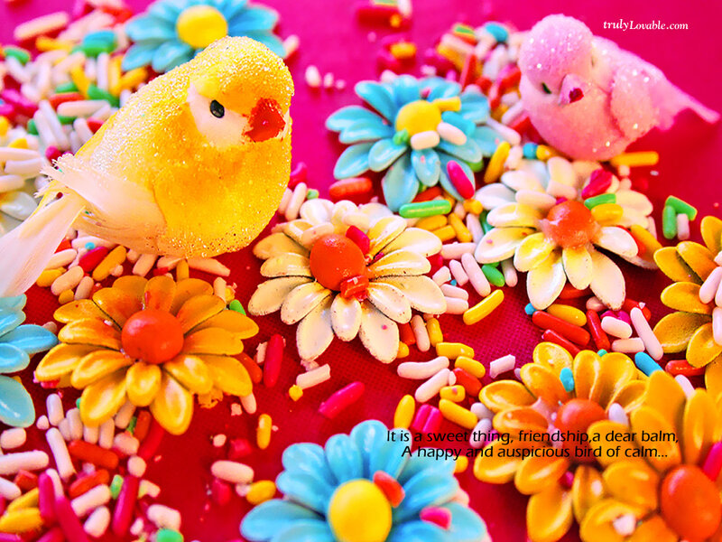 Colorful Bird Decorations