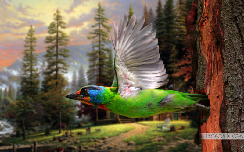 Colorful Bird Flying — Green
