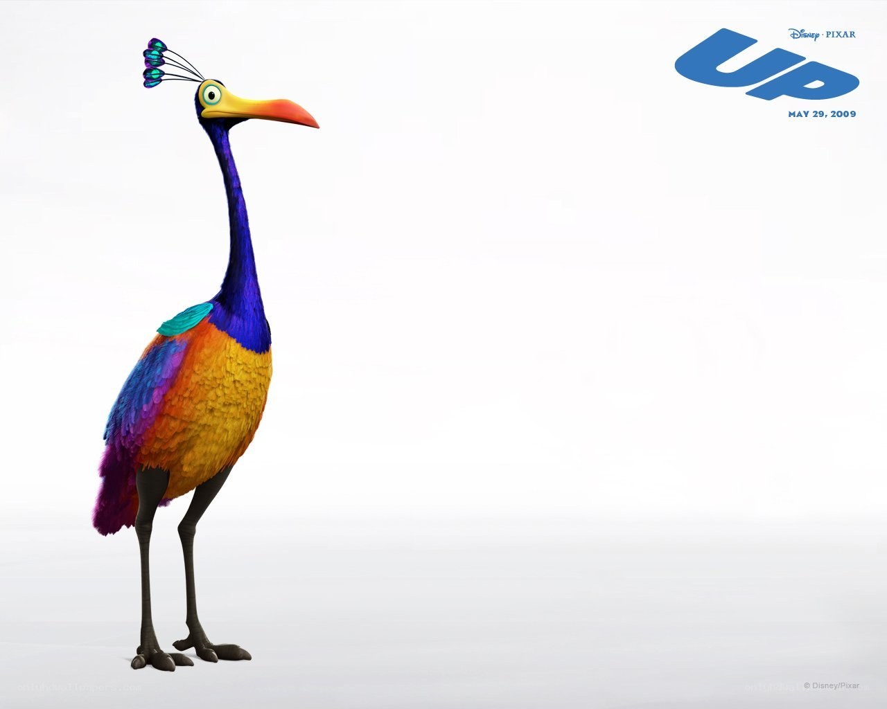 Colorful bird from Up