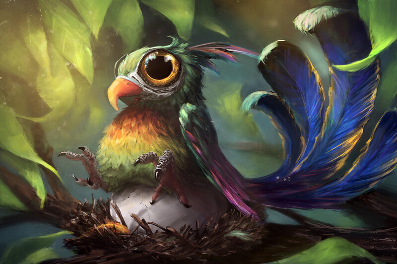 Colorful Bird Hatching