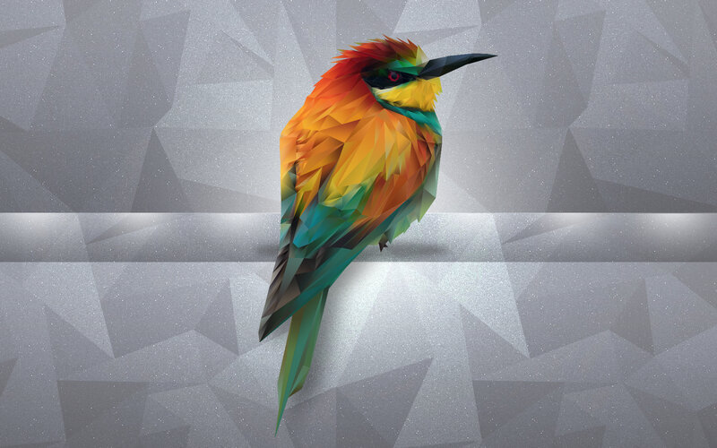 Colorful Bird Illustration — Orange