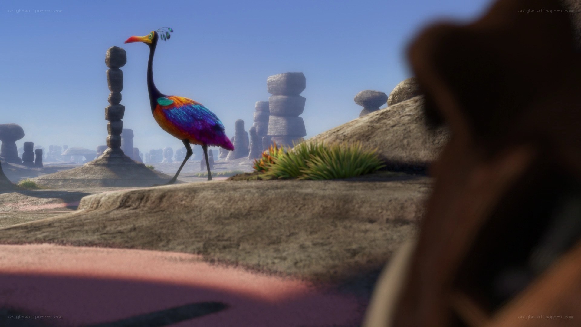 colorful bird in desert landscape